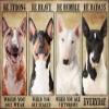 1000 Piece Jigsaw Puzzles Bull Terrier Be Strong Be Brave Be Human Be Badass Woodeen Puzzles for Adults and Kids Development Toys Games Toys Gift view 1