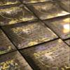 Palos Designs ZooPacks Metazoo Graded Card Mystery Power Pack - Hobby Edition - Series 1 - Each Box Contains 1 Graded MetaZoo Card + 20 Additional Cards + 1 Factory Sealed Card Booster Pack view 4