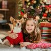 2pcs Reindeer Antler Headbands Christmas Reindeer Ear Headband Sequined Antlers Headpiece with Bell Christmas Party Hair Accessories One Size Fits All view 4