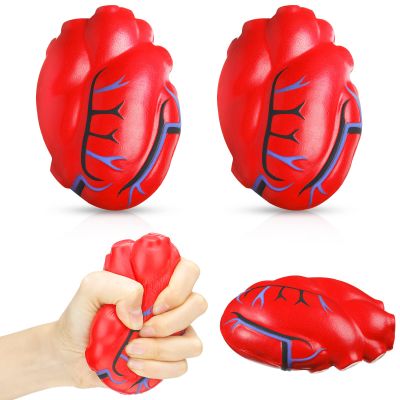 3 Pieces Human Fake Heart with Veins Stress Ball PU Foam Heart Prop Heart Shaped Anatomy Lifelike Heart Stress Balls Anatomical Heart Toy for Stress Fidget Relief Valentine Party Decoration
