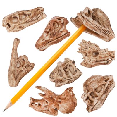 ArtCreativity Dinosaur Fossil Pencil Tops, Set of 12, Dinosaur Party Favors and Classroom Prizes for Kids, Great Back to School Gifts for Boys and Girls, Durable Plastic Dinosaur Pencil Toppers