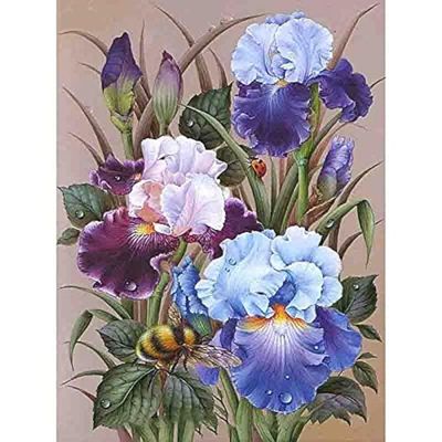1000 Pieces of Jigsaw Puzzle- iris Flower-Adult Puzzles, Childrens Gifts, Early Education, Natural Floors, Poster Puzzles, Board Games, Boxed Puzzles, Assembling Games