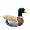 Nohito Kawaii Realistic Mallard Duck Plush Stuffed Animal Lifelike Green Duck Plushie Pillow Doll Home Decoration 12.2" Long (Mallard Duck) view 1