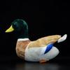 Nohito Kawaii Realistic Mallard Duck Plush Stuffed Animal Lifelike Green Duck Plushie Pillow Doll Home Decoration 12.2" Long (Mallard Duck) view 3