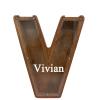 Personalized Large Wooden Kids Letter Piggy Bank Custom Name Coin Piggy Bank, (Laser Engraved Name) Wood Alphabet Letter Bank Money Box Birthday (V) view 1