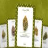 Ibiza Tarot Cannabis Oracle - Major Arcana - Tarot Cards | Fortune Telling Tarot Card Deck for Beginners | Authentic Tarot Experience - Set of 22 Cards view 2
