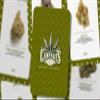Ibiza Tarot Cannabis Oracle - Major Arcana - Tarot Cards | Fortune Telling Tarot Card Deck for Beginners | Authentic Tarot Experience - Set of 22 Cards view 4