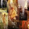 The Andres Zorn Tarot - Major Arcana view 2