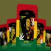 Ibiza Tarot Roots Reggae Tarot - Major Arcana Cards | Fortune Telling Tarot Cards Deck for Beginners | Authentic Tarot Experience - Set of 22 Cards view 2