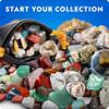 National Geographic Rock Collection Box for Kids  300 Piece Rock Set with Real Gemstones, Crystals & Minerals - Includes Absolute Expert: Rocks & Minerals Full-Color Book (Amazon Exclusive) view 2