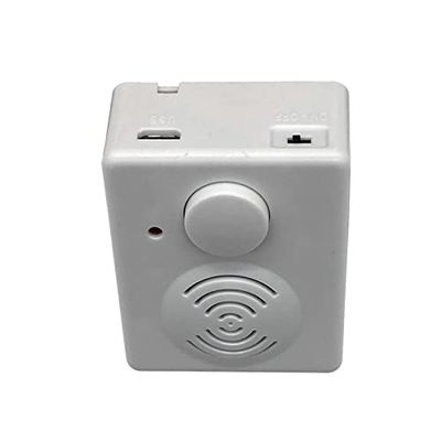 Flyron Technology USB Recordable Sound Player Box for Stuffed Toys and Gifts