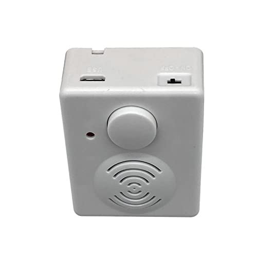 Flyron Technology USB Recordable Sound Player Box for Stuffed Toys and Gifts