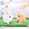 Civaner 2 Pcs Interactive Rabbit Toys Plush Stuffed Walking Bunny Toys with Sounds and Movements Hopping Robotic Easter Gift Present(Rabbit Style) view 3