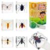 6 PCS Resin Insect Specimen Set, Butterfly, Jewel Frog Beetle, Silk Moth, Chafer, Stinkbug, Wasp, Science Education Toy for Kids view 1