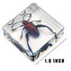 6 PCS Resin Insect Specimen Set, Butterfly, Jewel Frog Beetle, Silk Moth, Chafer, Stinkbug, Wasp, Science Education Toy for Kids view 4