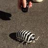 Tipmant RC Bug Remote Control Worm Realistic Pillbug Electronic Animal Prank Toy Insect Car Vehicle Kids Birthday Gifts (Black & White) view 3