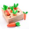 XPIY Montessori Toys for 1 Year Old, Carrots Harvest Wooden Baby Toys for 6-12 Months Educational Shape Sorting Matching Toys for Toddler Fine Motor Skill Development, Gift for Kids Birthday Easter view 1