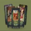 Ibiza Tarot- Magical Tarot - Artur Scheiner- 22 Major Arcana| Fortune Telling Tarot Cards Deck for Beginners| Authentic Tarot Experience - Set of 22 Cards view 2