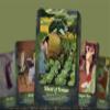 Ibiza Tarot- Magical Tarot - Artur Scheiner- 22 Major Arcana| Fortune Telling Tarot Cards Deck for Beginners| Authentic Tarot Experience - Set of 22 Cards view 4