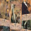 The Painter Boy Tarot - Major Arcana view 2