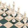 XIXIDIAN Chess Set,Travel Chess Set,Light and Mobile Chess Set Beginner Chess Set view 3
