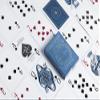 Bicycle Odyssey Playing Cards, Blue view 3