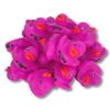 Crafters Cup VHOB You've Been Ducked Rubber Ducks | Bulk 20 Pack | Rubber Ducky 2.25 inches Wide and 1.75 inches Tall | Use with Duck Duck Tags | Tuscadero Pink Duck (Pink Rubber Ducks) view 1