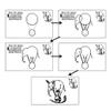 Ironpower Publishing Learn How to Draw Step by Step - Easy Drawing Lessons for Kids  Beginners Level DVD Video Tutorial by E.G. Lutz view 4