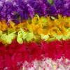 Patyflow Hawaiian Leis 50pcs, Luau Birthday Party Decorations, Hawaiian Necklace Silk Flower leis for Luau Beach Birthday Party Decorations and Party Supplies view 4