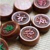 XIXIDIAN Chinese Chess (Xiangqi) Travel Set,Foldable Board Xiangqi Portable Chinese Chess Game Set (Color : Brown, Size : 49552.5cm) view 3