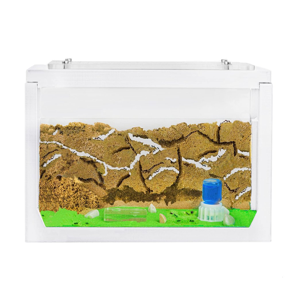 AntHouse - Natural Sand Ant Farm | 3D White Starter Kit 7.87 x 3.94 x 3.94 in