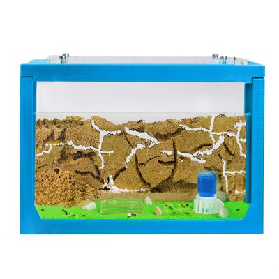 Anthouse.ES - 3D Aquarium-Style Natural Ant Farm - Sand Ant Farm - Complete Kit with Sand and Accessories - Starter Model 20x10x10 cm - Light Blue Color