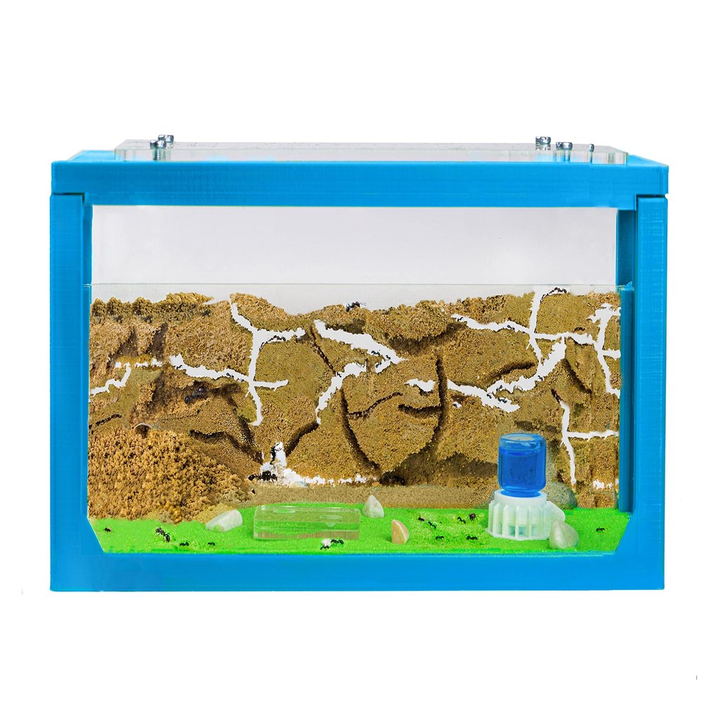 Anthouse.ES - 3D Aquarium-Style Natural Ant Farm - Sand Ant Farm - Complete Kit with Sand and Accessories - Starter Model 20x10x10 cm - Light Blue Color