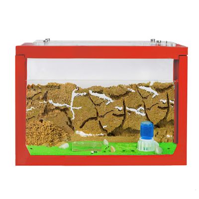 Anthouse.ES - 3D Aquarium-Style Natural Ant Farm - Sand Ant Farm - Complete Kit with Sand and Accessories - Starter Model 20x10x10 cm - Red Color