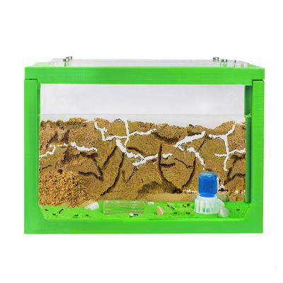 Anthouse.ES - 3D Aquarium-Style Natural Ant Farm - Sand Ant Farm - Complete Kit with Sand and Accessories - Starter Model 20x10x10 cm - Green Color