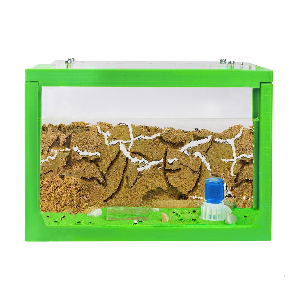 Anthouse.ES - 3D Aquarium-Style Natural Ant Farm - Sand Ant Farm - Complete Kit with Sand and Accessories - Starter Model 20x10x10 cm - Green Color