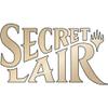 Magic The Gathering - Secret Lair Artist Series Mark Poole - Foil box - sealed view 1