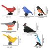 Morofme Mini Bird Figurine Birds Cake Topper 7pcs Miniature Birds Animal Figure Robin Cardinal Figurines Oriole Bird Cake Decorations for Birthday Baby Shower Party Educational Supplies view 4