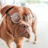 3 Pairs Doll Glasses - Metal Wire Rim Clear Lens Eyewear Fabric Dress Up Eyeglasses for 18 Inch and Other Dolls (3.14 Inch) view 2