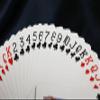 Bicycle Party Cup Playing Cards by US Playing Card Co. view 4