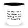 Beautiful Juggling Gifts, The Voices in My Head are Telling Me to Go Juggling, Epic Holiday Shot Glass From Men Women view 1