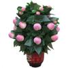 20 Blooming Peach - Remote Control - Stage Magic / Magic Trick / Magic Props / Party Trick / Magic Gimmick view 1