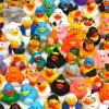 XY-WQ Rubber Duck 50 Pack for Jeeps Bath Toy Assortment - 2.3 Inch Bulk Floater Duck for Kids - Baby Showers Accessories - Party Favors, Birthdays, Bath Time, and More (50 Varieties) view 1