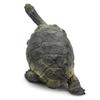 SmilerSmile Simulated Ocean Big Animal, One pc 15 Inch Soft Filled Rubber Sea Educational Toys (Tortoise) view 3