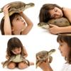 SmilerSmile Simulated Ocean Big Animal, One pc 15 Inch Soft Filled Rubber Sea Educational Toys (Sea Turtle) view 4