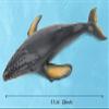 SmilerSmile Simulated Ocean Big Animal, One pc 15 Inch Soft Filled Rubber Sea Educational Toys (Humpback) view 2