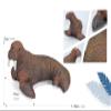SmilerSmile Simulated Ocean Big Animal, One pc 15 Inch Soft Filled Rubber Sea Educational Toys (Walrus) view 2