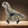 XINDAM Resin Brachiosaurus Dinosaur Fossil Statue Model Simulated Skeleton Home Office Display Decorative Craft Box Decoration (Style 7) view 1