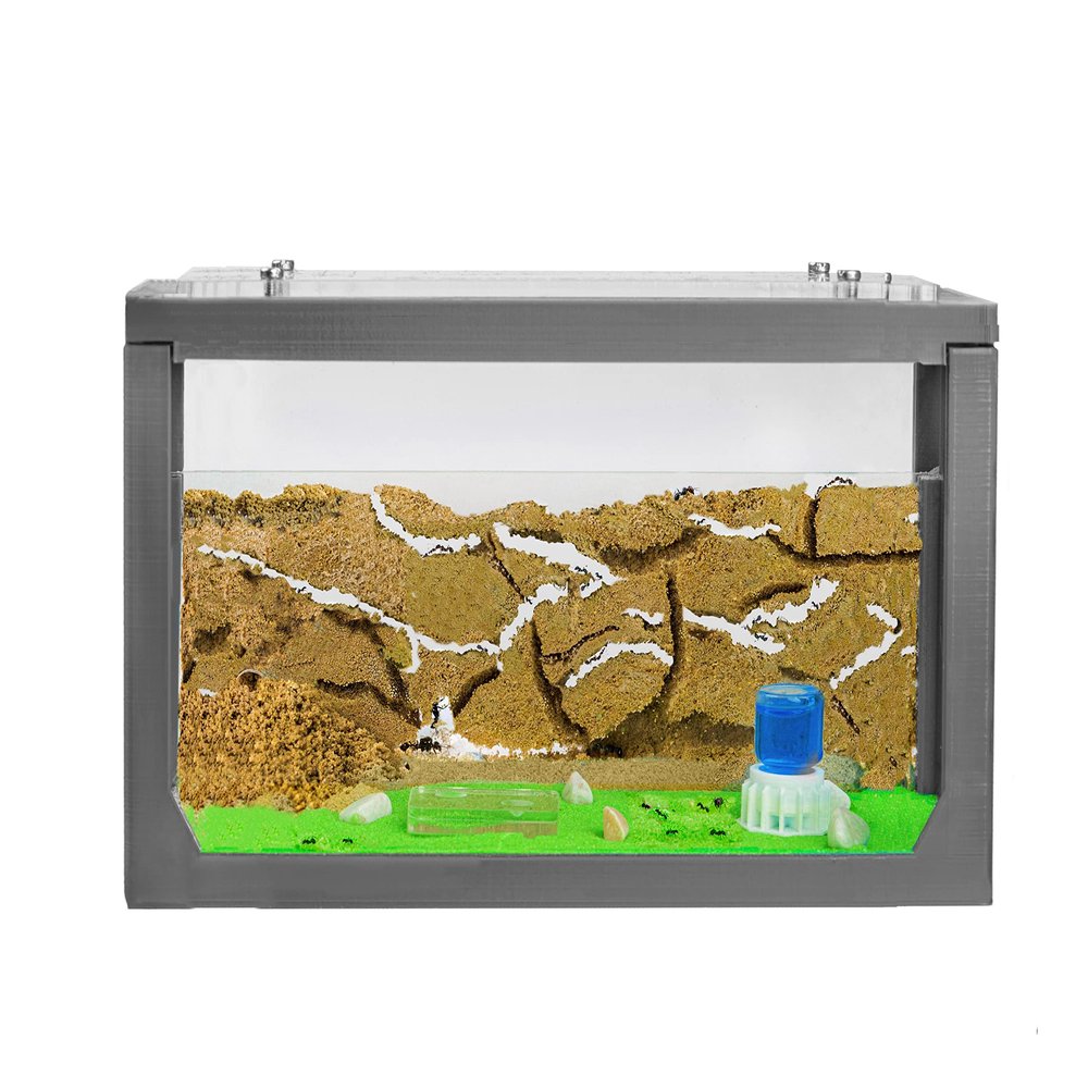 Anthouse.ES - 3D Aquarium-Style Natural Ant Farm - Sand Ant Farm - Complete Kit with Sand and Accessories - Starter Model 20x10x10 cm - Grey Color