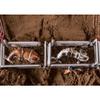 Little Buster Bucking Bulls Rodeo Set | Brown & Spotted Bulls with Riders | 1:16 Scale Collectible Farm & Ranch Display | Authentic Western Collectible for Holiday Dcor & Gifting view 4